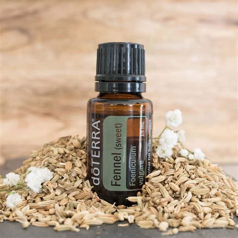Fennel Oil | dōTERRA Essential Oils