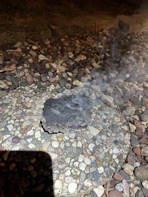 Anyone have an idea what this is? Smelled terrible. Royal oak lump ...