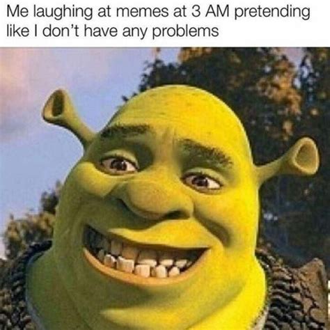 Image result for Shrek Script Memes