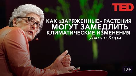 Как «заряженные» растения могут замедлить климатические изменения ...