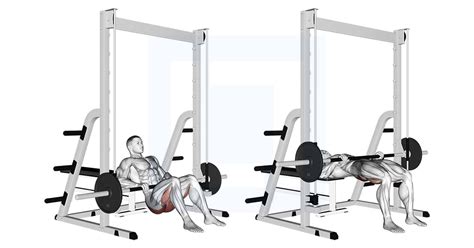 Image result for Smith Machine Hip Thrust