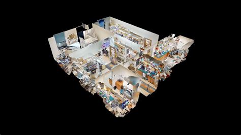 Image result for Flow Lab Introduction