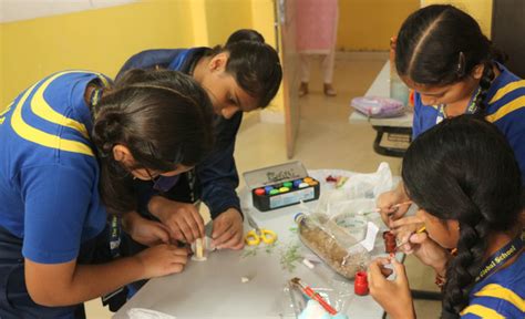 Inter-house Bottle Biosphere Competition | Wisdom