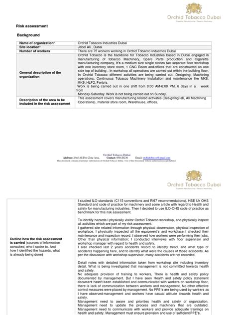 Risk Assessment PDF Example 的图像结果