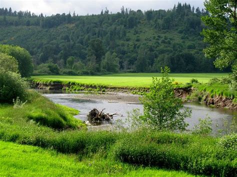 Chehalis Tourism (2024): All You Need to Know Before You Go