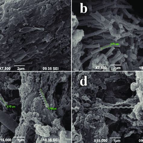 Image result for Microbial Fuel Cell Anode and Cathode