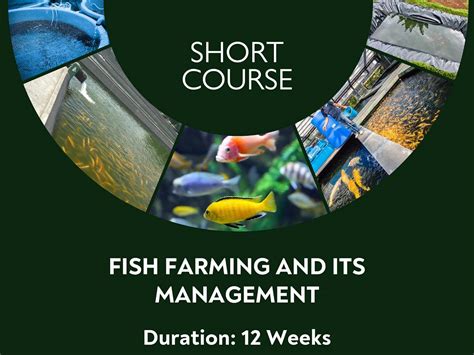 What Is Fish Farming 的图像结果