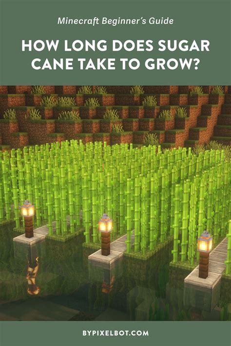 Sugar Cane Farm Minecraft Java 的图像结果