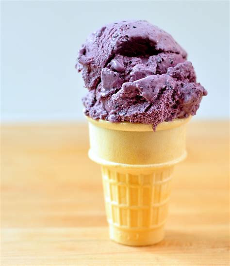 Double Blueberry Ice Cream - The Creekside Cook