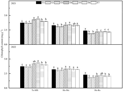 Optimized Tillage Method Increased Rice Yield in Rice Ratooning System