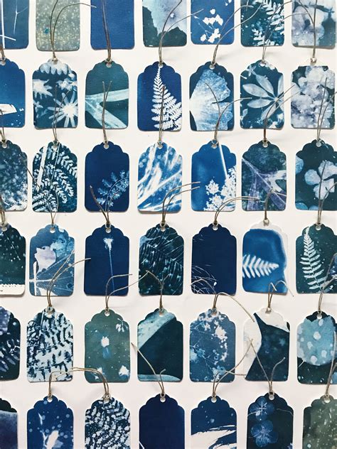How to make cyanotypes on fabric – Artofit