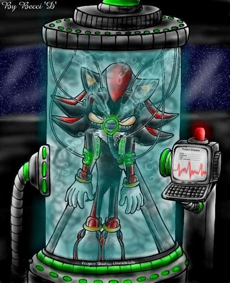 Project Shadow 的图像结果