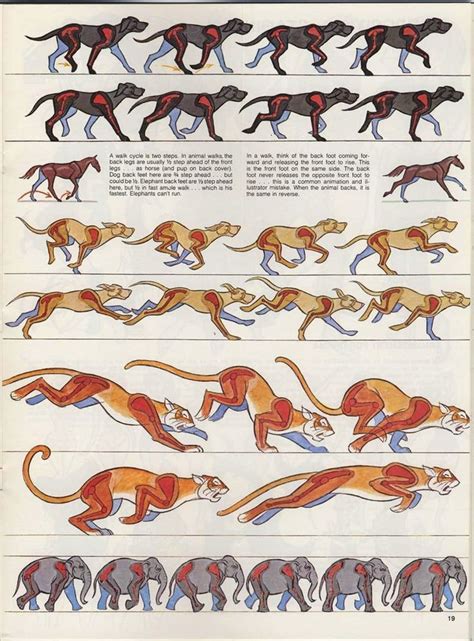 Jacob Romeo EDU Animation : Walk Cycles | Animation reference ...