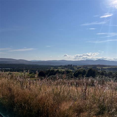 MIGDALE HEIGHTS (Ardgay) - Apartment Reviews, Photos, Rate Comparison ...