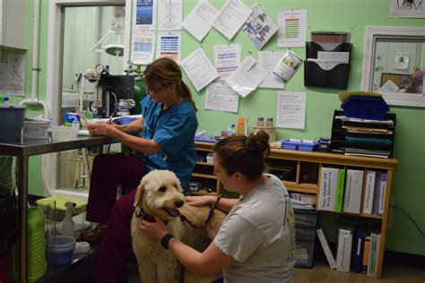 Iowa Humane Alliance Endowment Challenge Fund - Greater Cedar Rapids ...