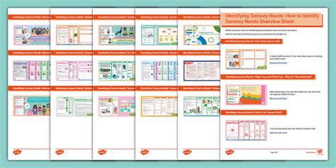 Identifying Sensory Needs: Overview Sheet