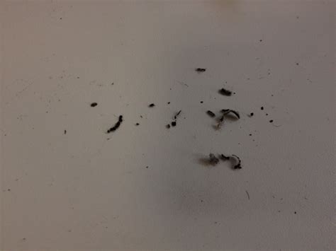 Fix Roller Mouse Problem 的图像结果