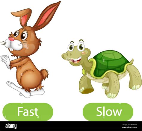 Opposite adjective words with fast and slow illustration Stock Vector ...