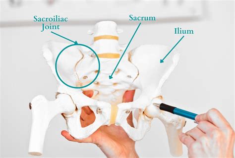 Sacroiliac Joint Pain SI Joint Pain Cause And Treatment With 3