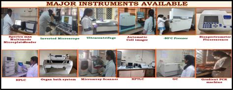 Annamalai University