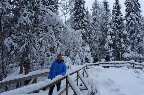 Image result for Txxxc Paragraph Structure Example