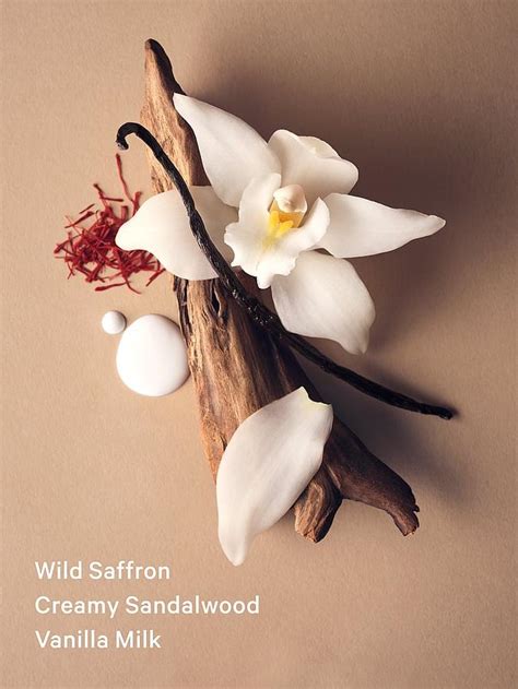 Buy Bare Sueded Vanilla 50ML Small Eau De Parfum Online - Style ID ...