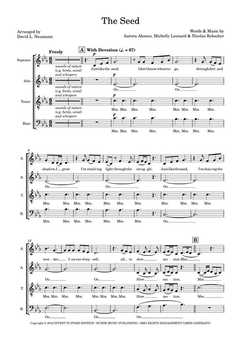 The Seed (arr. David L. Neumann) von Nicolas Rebscher Noten zum Chor ...