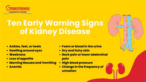 Ten Early Warning Signs of Kidney Disease - Genestrings