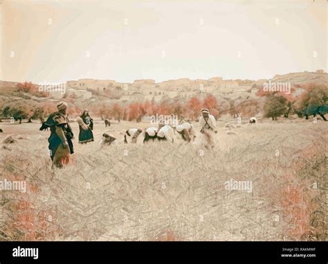 Harvesting and threshing floor scenes in the story of Ruth & Boaz 1898 ...