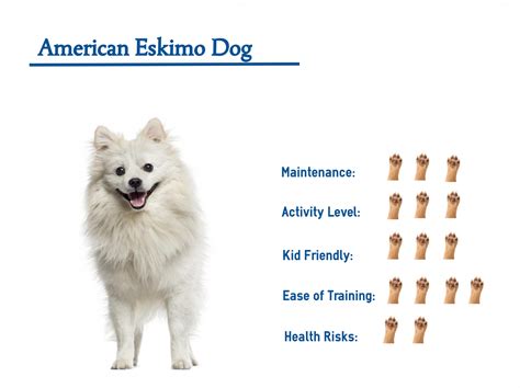 How Much Do Eskimo Dogs Cost at Jasper Corral blog