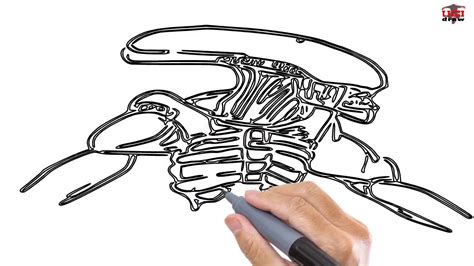 Xenomorph Drawing Tutorial 的图像结果