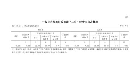 2020年鹤山市发展和改革局“三公”经费支出决算表_鹤山市人民政府门户网