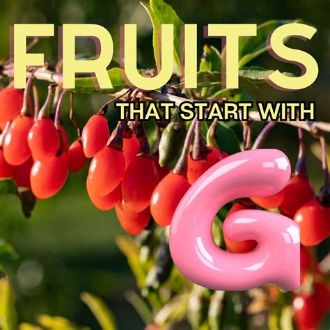 Fruits That Start With G: 39+ Fruits Beginning With G | Bake It With Love