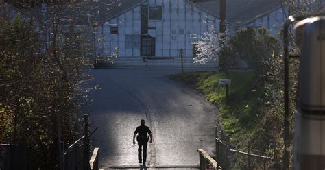 2 Half Moon Bay mushroom farms cited for safety violations after a mass ...