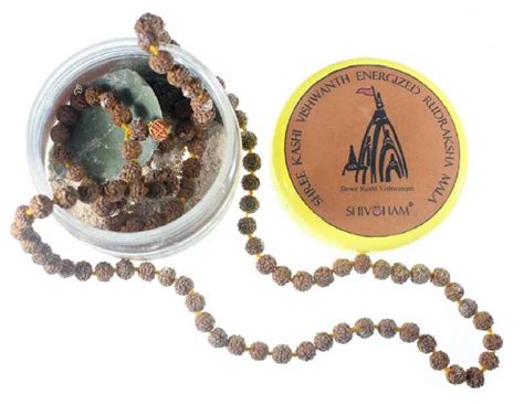 SHIVOHAM Kashi Vishwanaath Energized Rudraksha Mala 108+1 (6mm Size ...