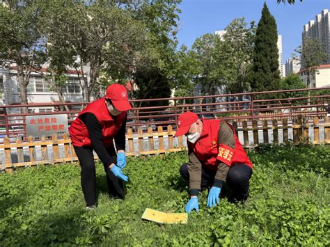 消杀除四害方法都有哪些？-长沙市保旺有害生物防治有限公司