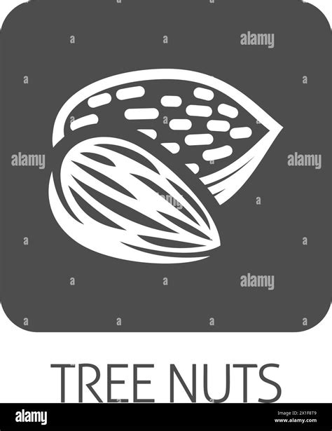 Tree Nut Almond Food Allergen Allergy Icon Concept Stock Vector Image ...