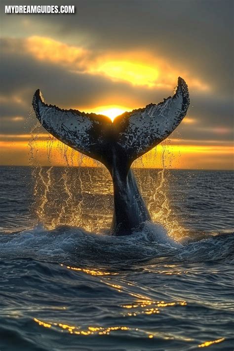 Dive Deep into Your Dreams: Discover the Surprising Meaning of Dreaming about Whales! | Types of ...