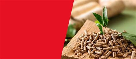 SQ-Energy – Pellet Χονδρική | Αποκλειστικός Αντιπρόσωπος – Pellet Καυσόξυλα