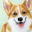 Corgi Canvas Wall Art, 12x16 | At Home