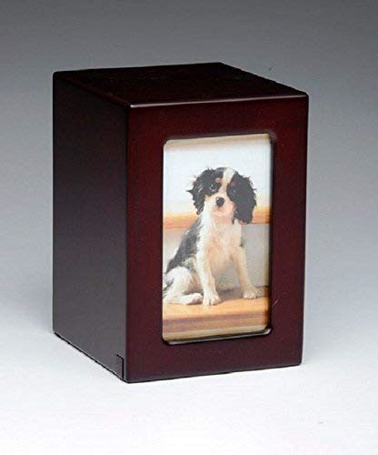 Pet Urn Peaceful Pet Memorial Keepsake Urn Photo Box Pet Cremation Urn ...