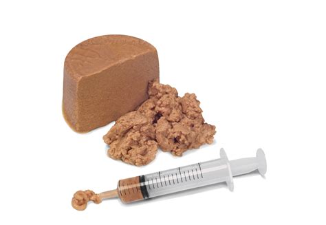 Recovery | Royal Canin IN