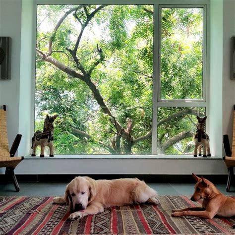 4 Chennai homes full of interior design inspiration and ideas ...