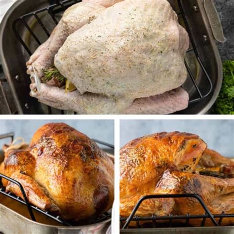 Cooking Turkey 的图像结果