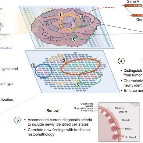 Image result for Spatial Transcriptomics Methods