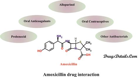 Drug Interaction Ibuprofen And Amoxicillin at Catherine Reeves blog