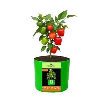Kingwell Grow Bag For Terrace Garden Leafy Vegetable Plant Grow Bags ...