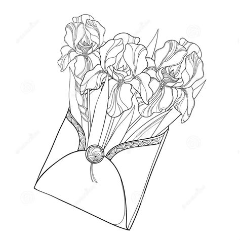 Blue Iris Download For Kids Coloring Pages - Coloring Cool