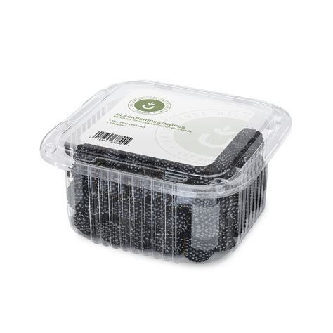 Pint Of Blackberries