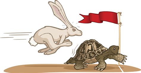 Slow and Steady Wins the Race in Investment Management - Arbor Asset ...